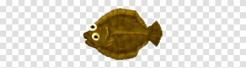 Mobile Animal Crossing Pocket Camp Olive Flounder The Sole, Fish, Sea Life, Fungus, Surgeonfish Transparent Png