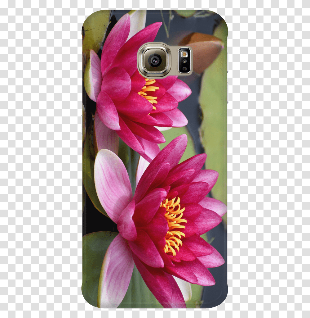 Mobile Phone Case, Plant, Flower, Blossom, Camera Transparent Png