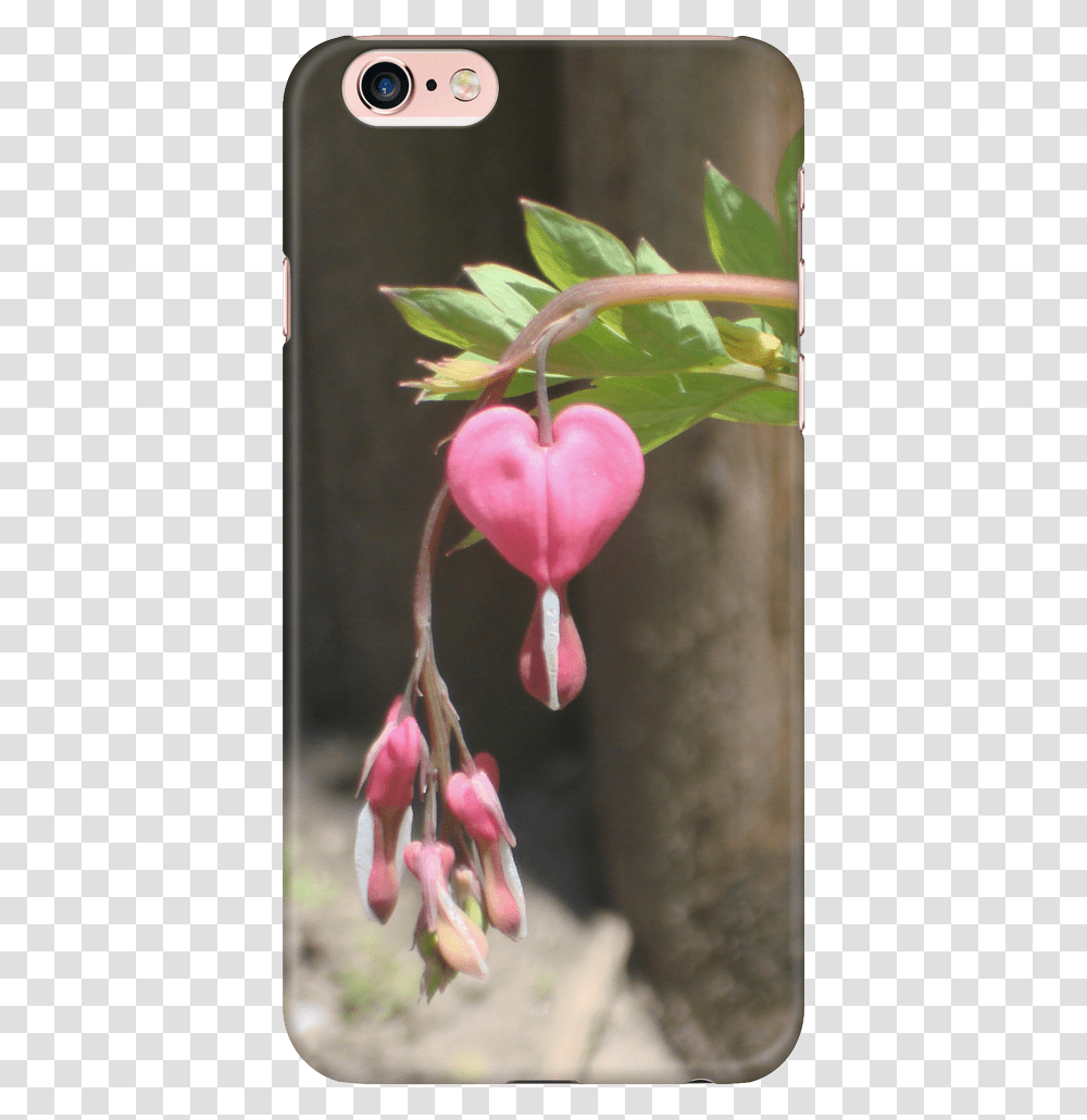 Mobile Phone Case, Plant, Flower, Petal, Araceae Transparent Png