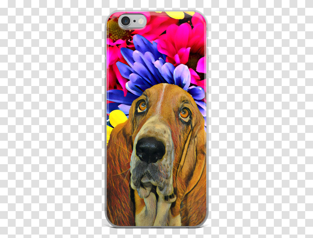 Mobile Phone, Hound, Dog, Pet, Canine Transparent Png