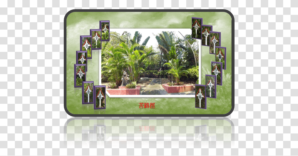 Mobile Phone, Plant, Building, Villa, Housing Transparent Png