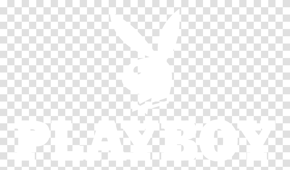 Mobile Size, White, Texture, White Board Transparent Png