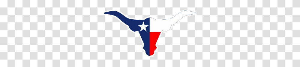 Mobile Truck Repair Truck Trailer Repair Texas Louisiana, Flag, Star Symbol, Crib Transparent Png