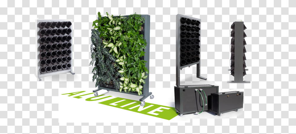 Mobile Walls Equipped With An Integrated Irrigation Systemy Zielonych, Plant, Potted Plant, Vase, Jar Transparent Png
