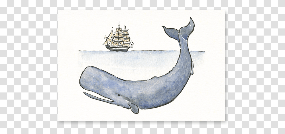 Moby Dick Post Card Humpback Whale, Boat, Vehicle, Transportation, Animal Transparent Png