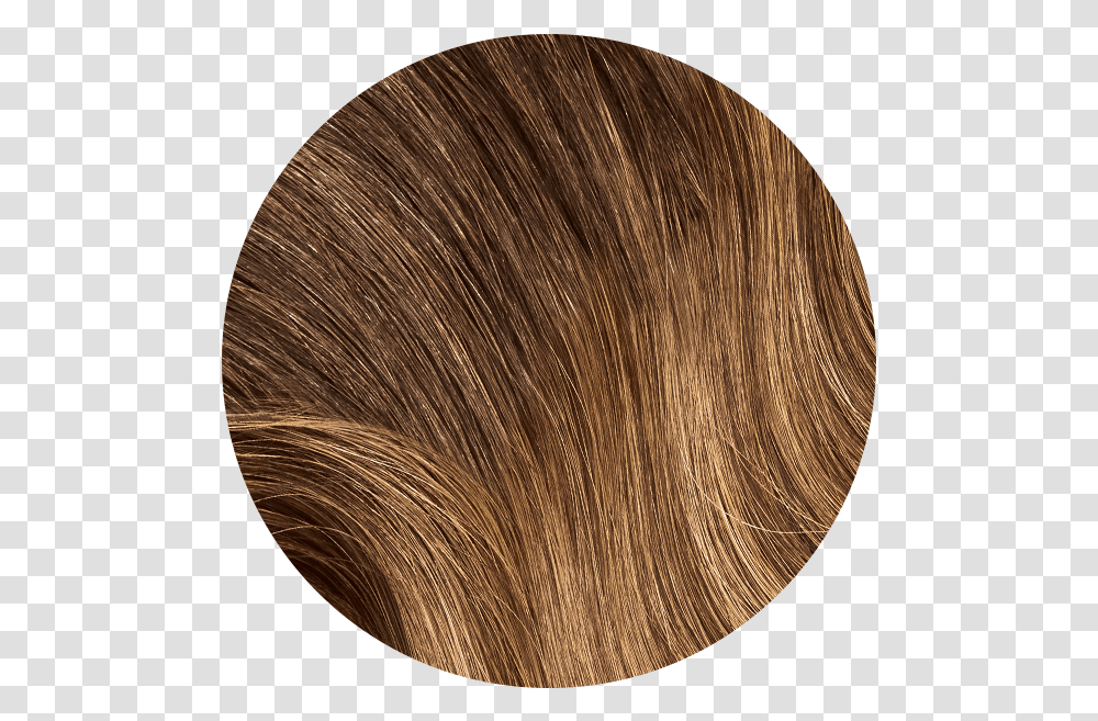 Mocha Bronde Balayage Human Hair Ponytail Clip In Extension, Wood, Tabletop, Furniture, Plywood Transparent Png