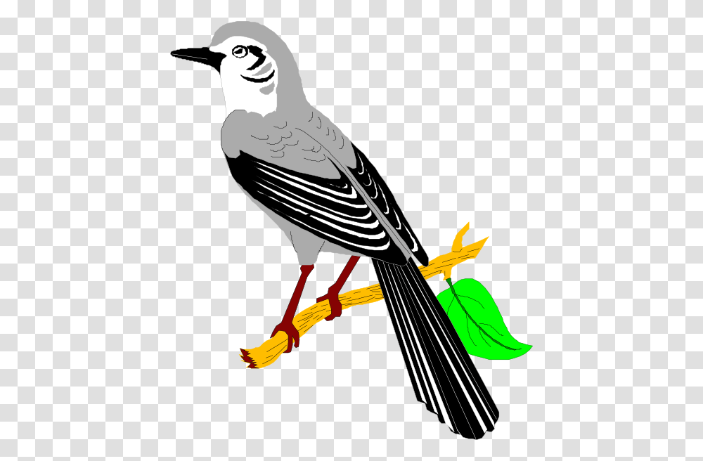 Mockingbird Clip Art, Animal, Jay, Finch, Mixer Transparent Png