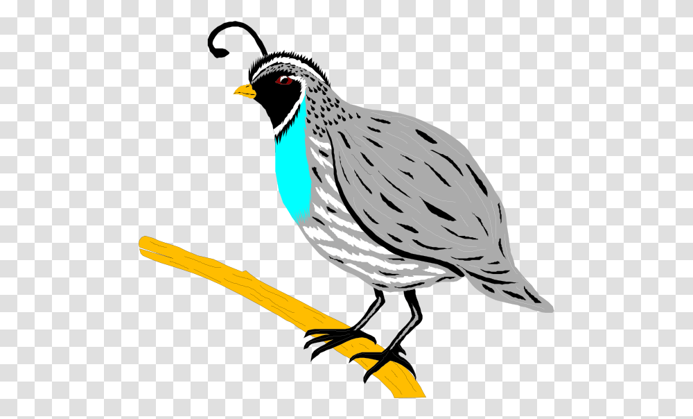 Mockingbird Clipart Hostted Quail Clip Art, Animal, Finch, Partridge Transparent Png