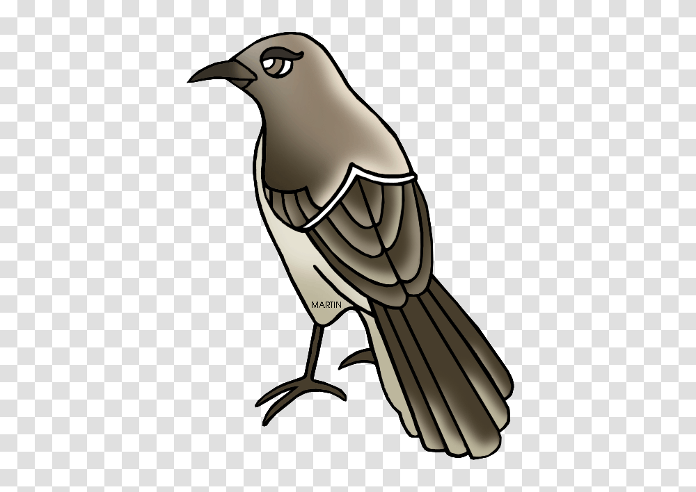 Mockingbird Clipart, Jay, Animal, Magpie, Finch Transparent Png