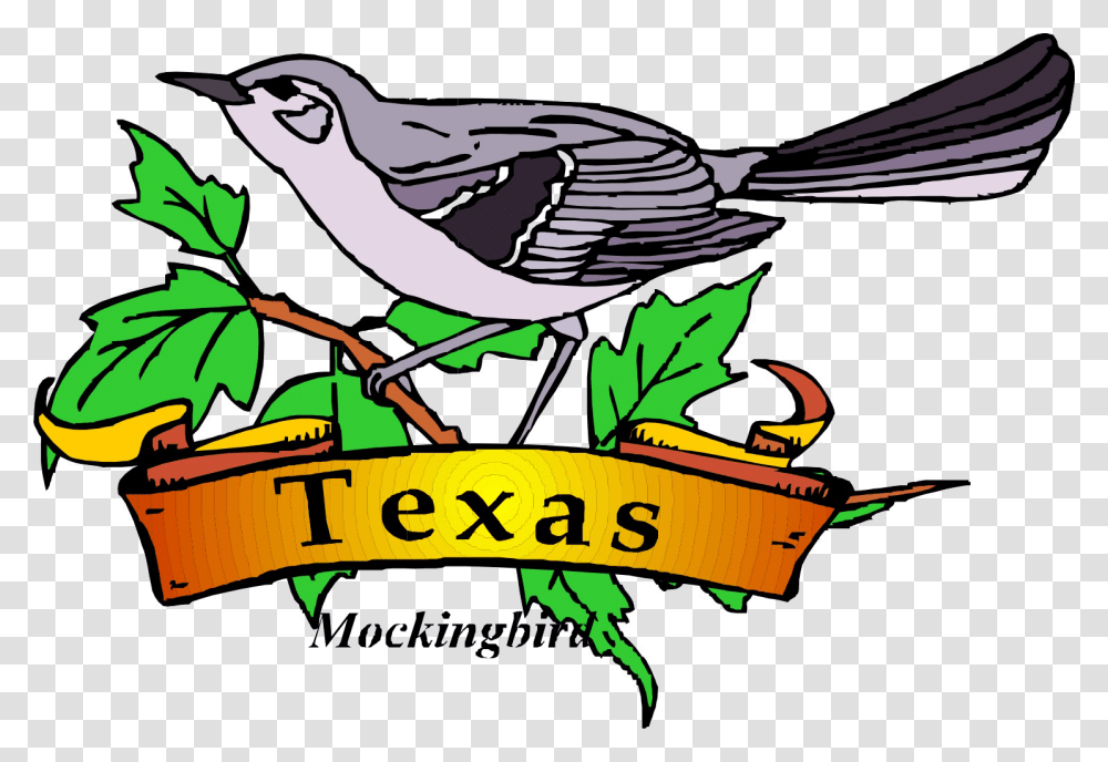 Mockingbird Clipart Printable Texas State Bird, Animal, Jay, Wren Transparent Png