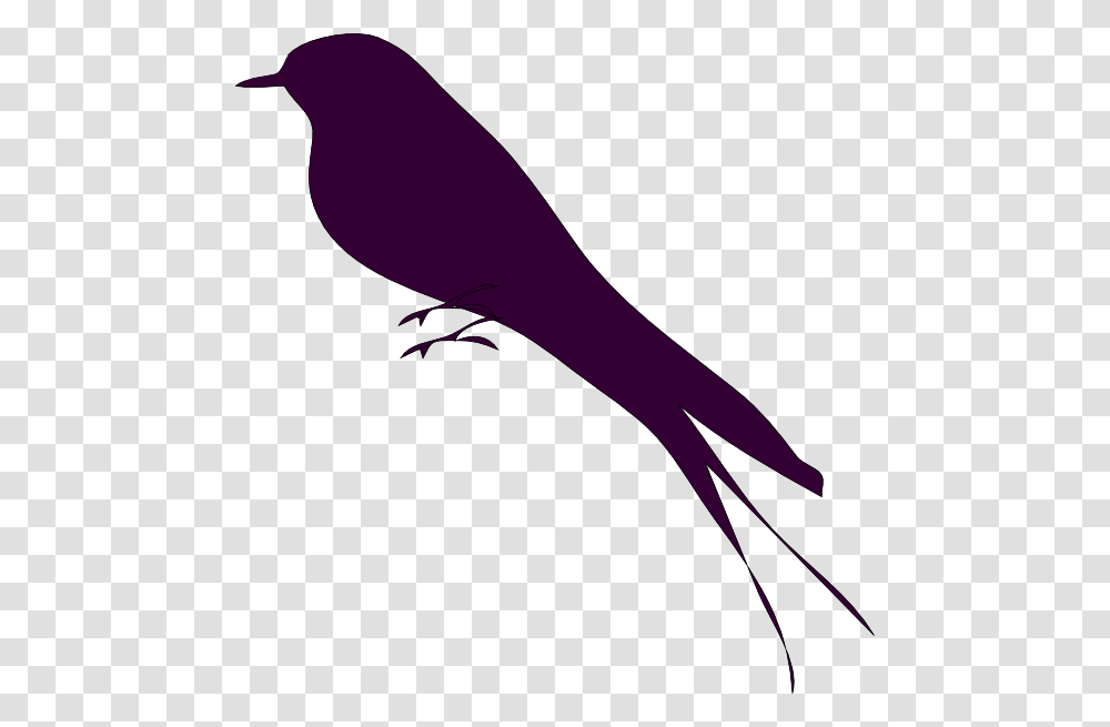 Mockingbird Exotical Bird Clip Art, Silhouette, Animal, Beak, Gecko Transparent Png