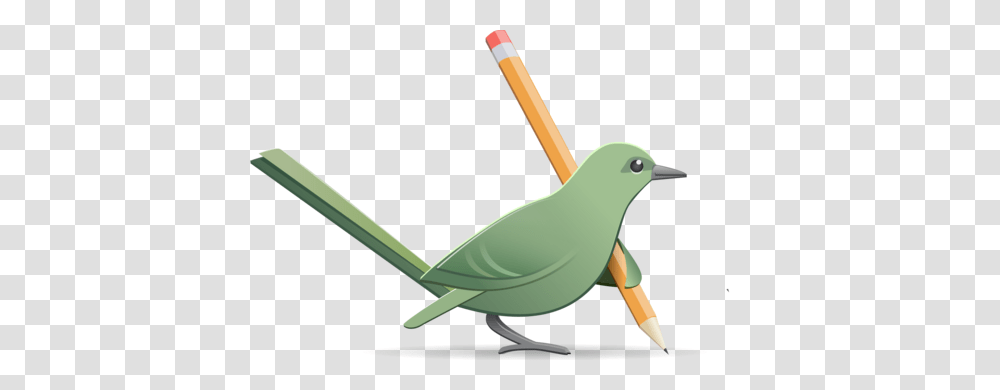 Mockingbird On Twitter New Feature Export To Pdf Or Http, Animal, Finch, Pencil Transparent Png