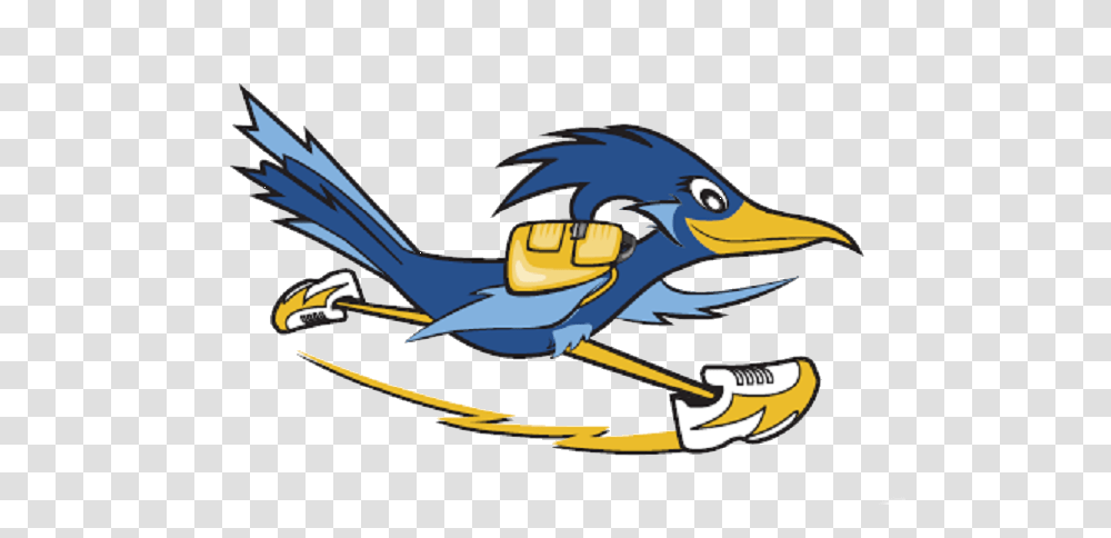 Mockingbird, Vehicle, Transportation, Aircraft, Animal Transparent Png