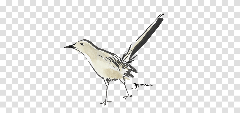 Mockingbird Watercolor Bird Watercolour Mockingbird Watercolor, Animal, Waterfowl, Stork, Flying Transparent Png