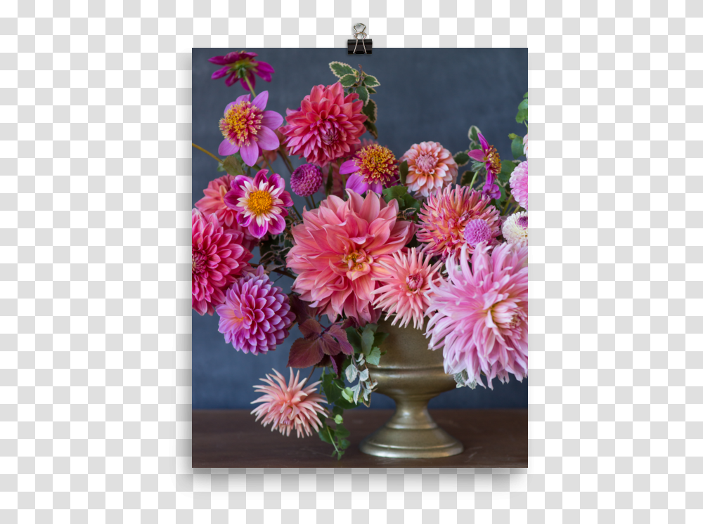 Mockup Barberton Daisy, Dahlia, Flower, Plant, Blossom Transparent Png