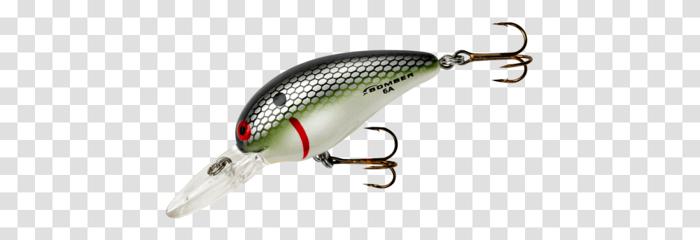Model A Bomber Lures Model, Fishing Lure, Bait, Snake, Reptile Transparent Png