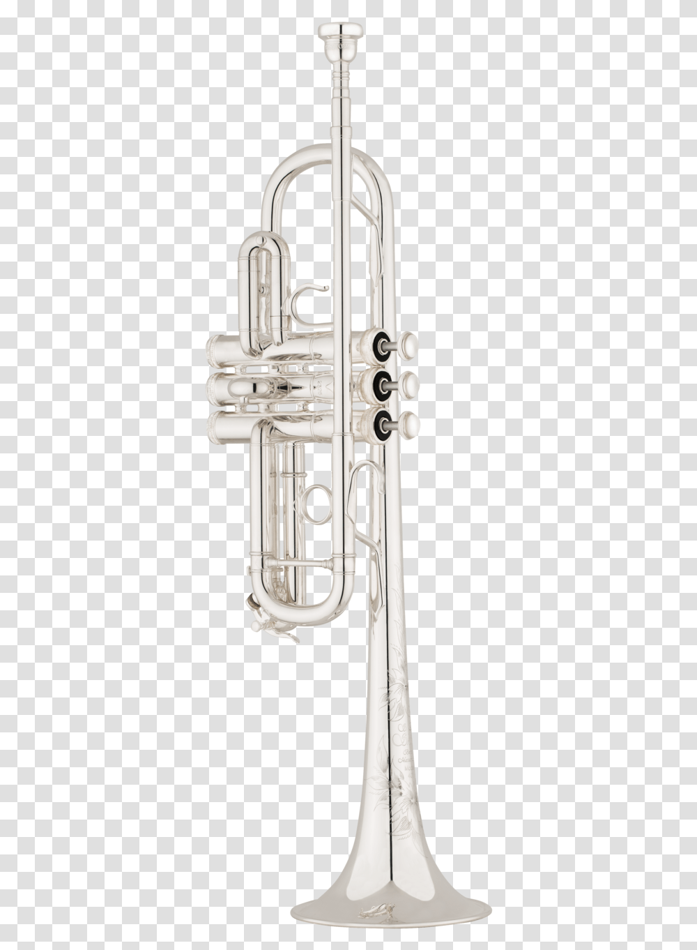 Model, Horn, Brass Section, Musical Instrument, Tuba Transparent Png