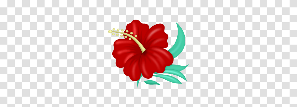 Model Resimler, Hibiscus, Flower, Plant, Blossom Transparent Png