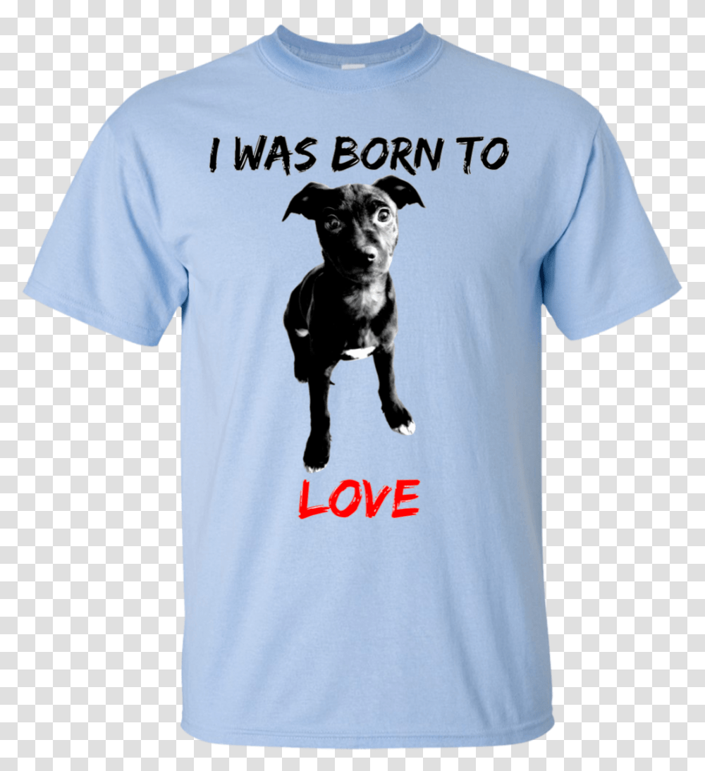 Modelo Beer T Shirt, Apparel, Dog, Pet Transparent Png