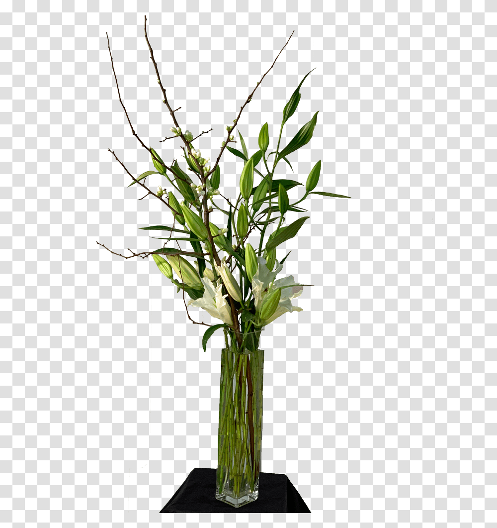 Modern 2 Flowers Vase, Plant, Blossom, Ikebana Transparent Png