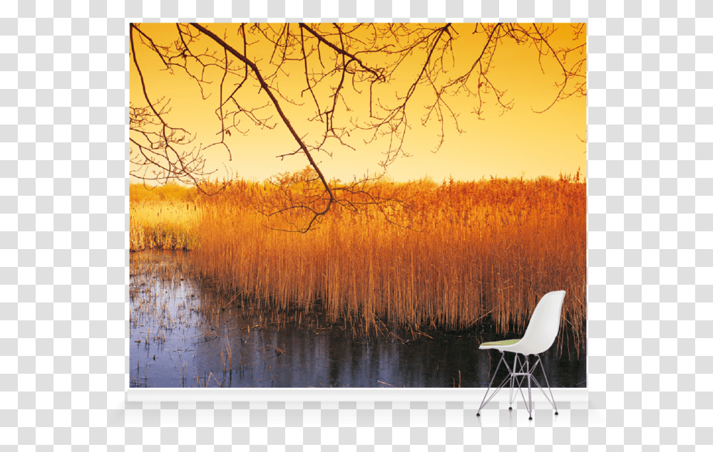 Modern Art, Chair, Furniture, Nature, Outdoors Transparent Png