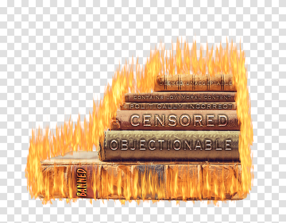 Modern Day Book Burning Book Burning, Fire, Flame, Brush, Tool Transparent Png