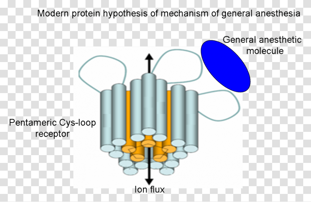 Modern Mechanism Of General Anesthesia, Cylinder, Coil, Spiral Transparent Png