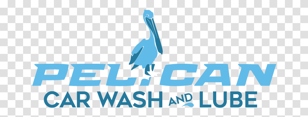 Modern Professional Logo Design For Pelican Car Wash And Graphic Design, Bird, Animal, Text, Stork Transparent Png