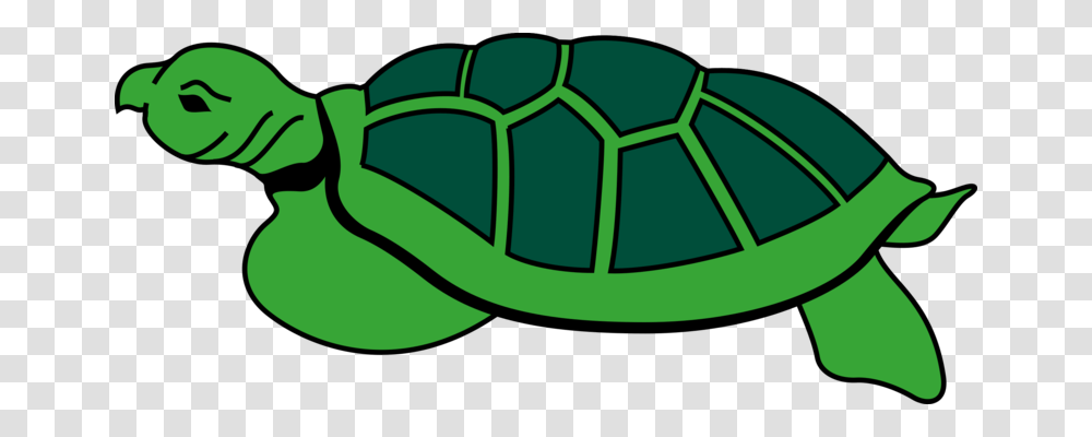Modern Sea Turtles Reptile Art Painted Turtle, Plant, Soccer Ball, Sport, Field Transparent Png