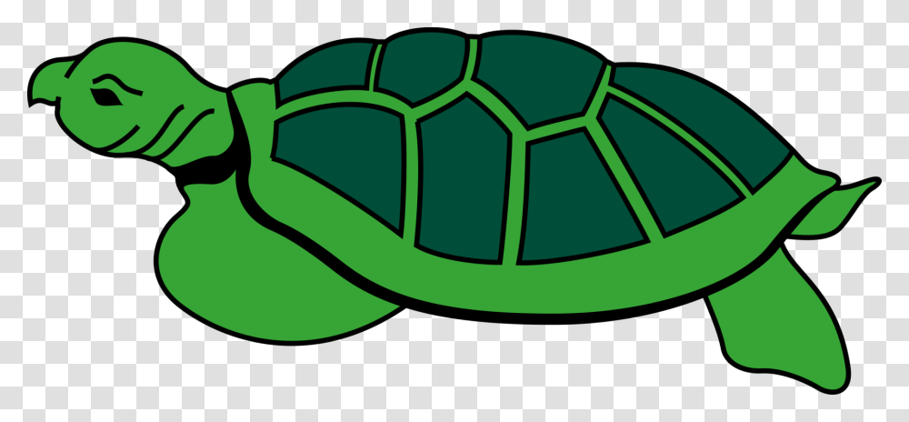 Modern Sea Turtles Reptile Tortoise Caretta, Soccer Ball, Sport, Plant, Green Transparent Png