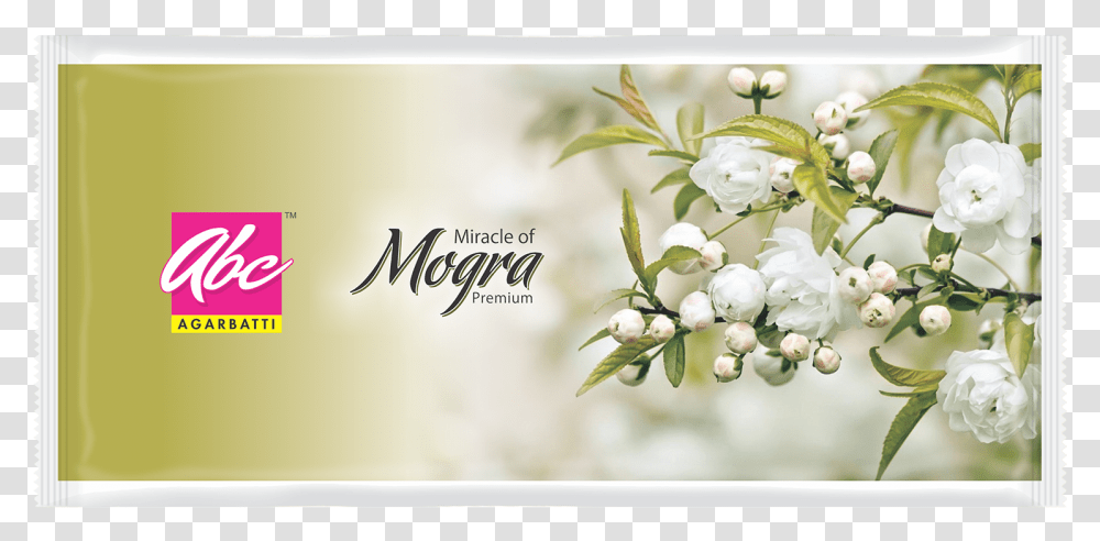 Mogra Pouch Abc Jasmine Flower Wallpaper Hd, Plant, Petal, Flower Arrangement, Fruit Transparent Png