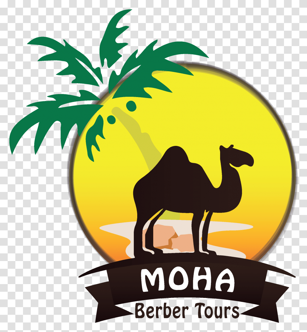 Moha Berber Tours Arabian Camel, Animal, Bird, Poster, Advertisement Transparent Png