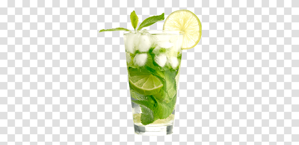 Mojito Background Mojito Cocktail, Potted Plant, Vase, Jar, Pottery Transparent Png