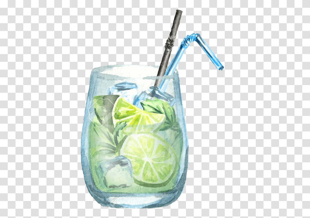 Mojito Clipart Cucumber Mint Drink Drawing, Plant, Beverage, Lime, Citrus Fruit Transparent Png