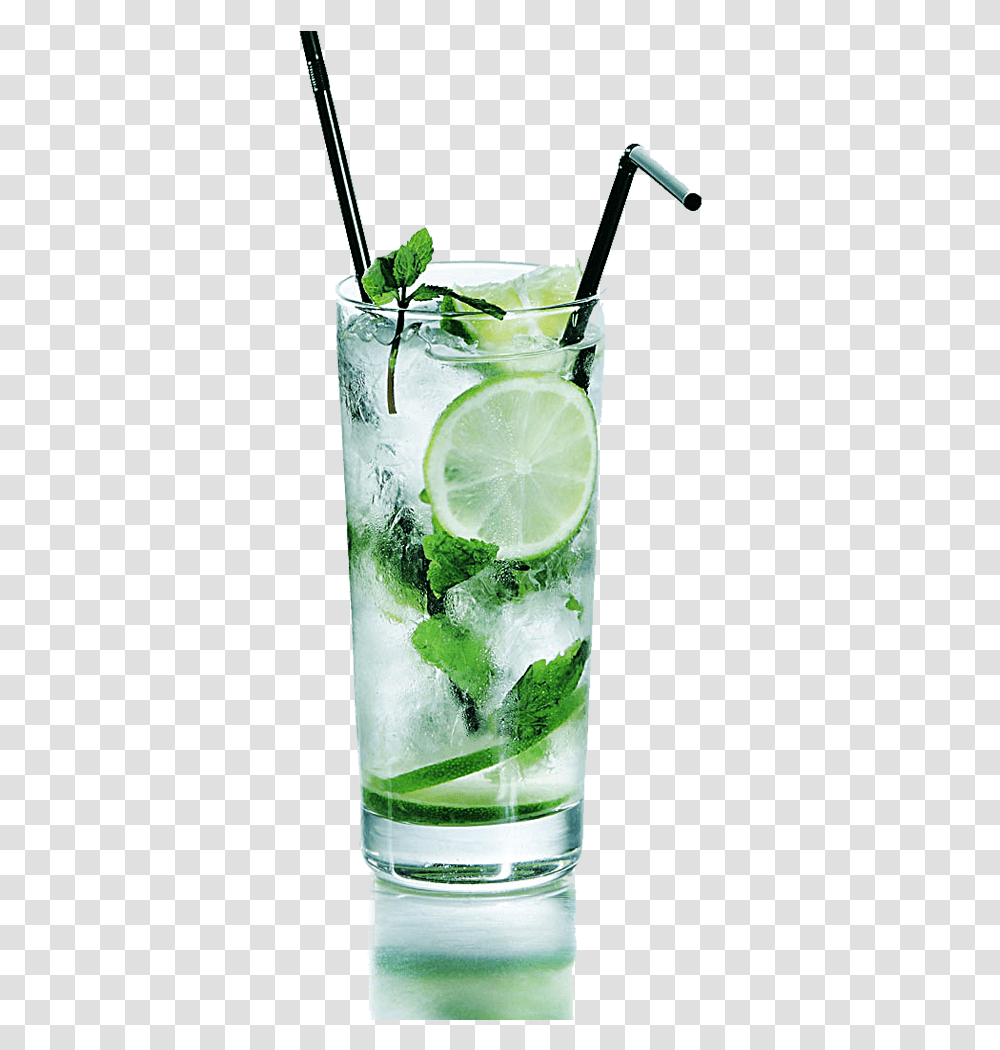 Mojito Cocktail, Alcohol, Beverage, Drink, Plant Transparent Png