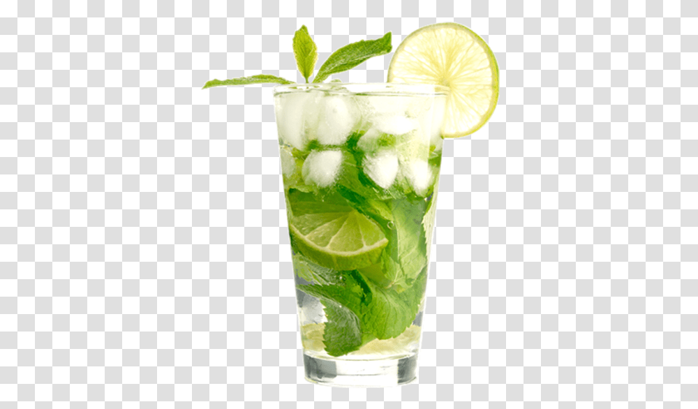 Mojito Cocktail, Alcohol, Beverage, Drink, Potted Plant Transparent Png