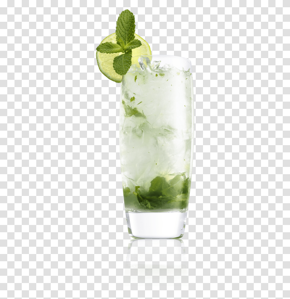 Mojito, Cocktail, Alcohol, Beverage, Potted Plant Transparent Png