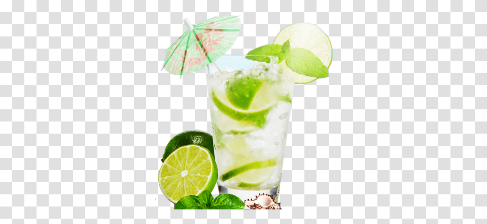 Mojito Coconut Water And Lime, Cocktail, Alcohol, Beverage, Potted Plant Transparent Png