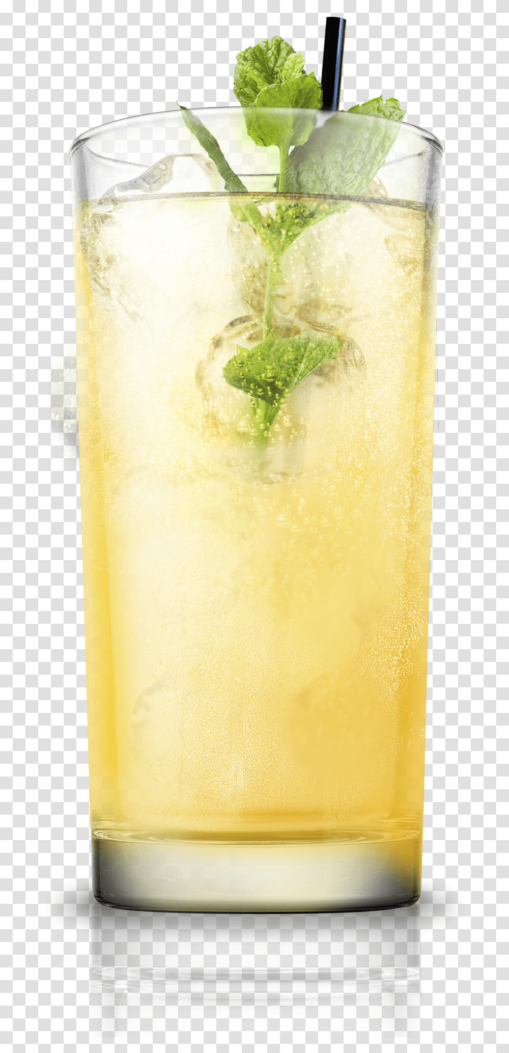 Mojito Download Floral Design, Lemonade, Beverage, Drink, Cocktail Transparent Png