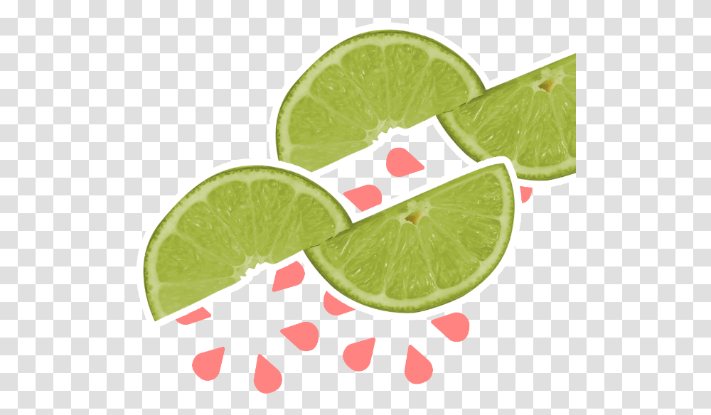 Mojito, Lime, Citrus Fruit, Plant, Food Transparent Png