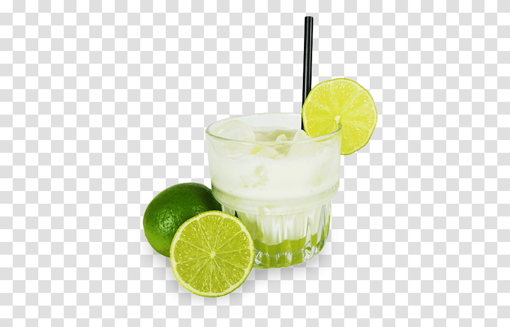 Mojito, Lime, Citrus Fruit, Plant, Food Transparent Png