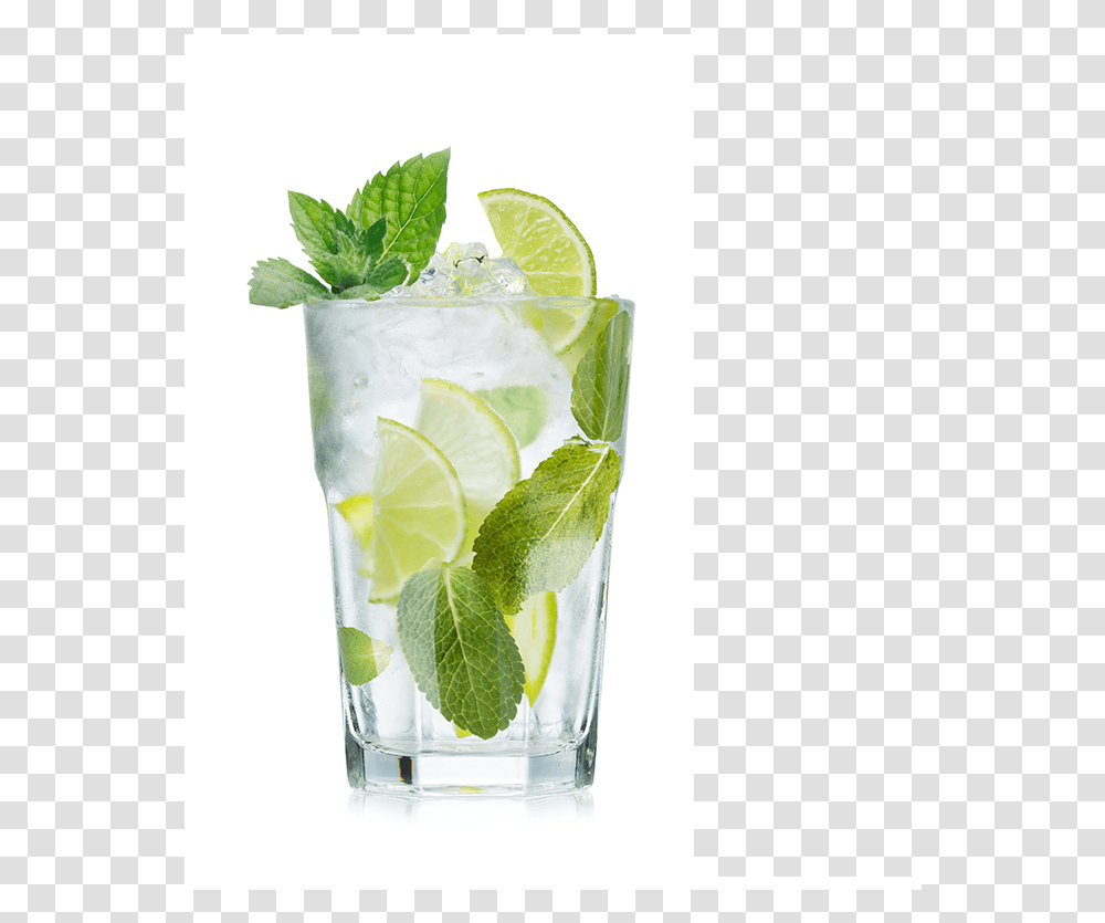Mojito Mojito Cocktail, Potted Plant, Vase, Jar, Pottery Transparent Png
