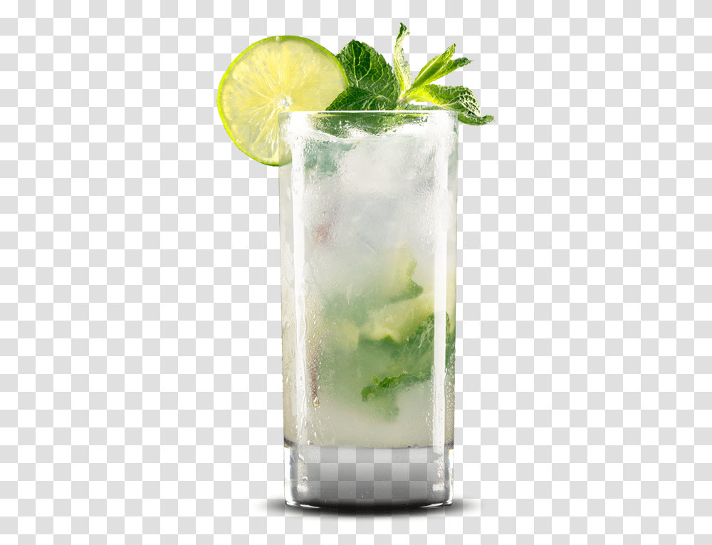 Mojito Pic Mojito Cocktail, Alcohol, Beverage, Plant, Milk Transparent Png