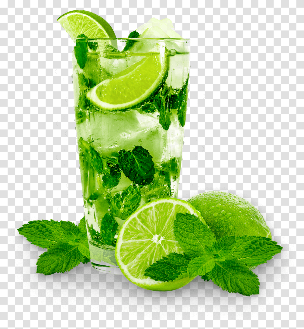Mojito, Potted Plant, Vase, Jar, Pottery Transparent Png