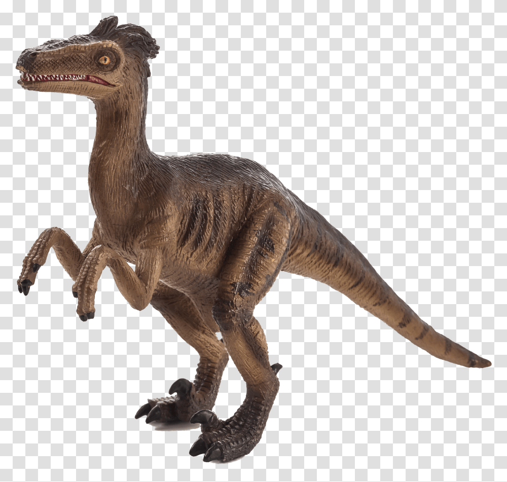 Mojo Animal Velociraptor Transparent Png