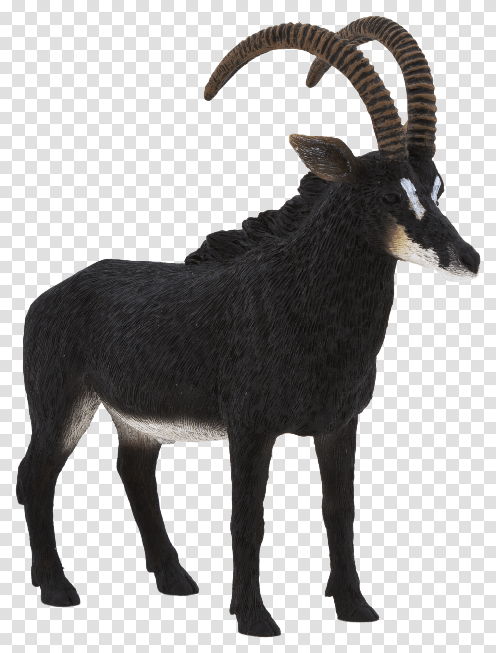 Mojo Giant Sable Antelope, Wildlife, Mammal, Animal, Horse Transparent Png