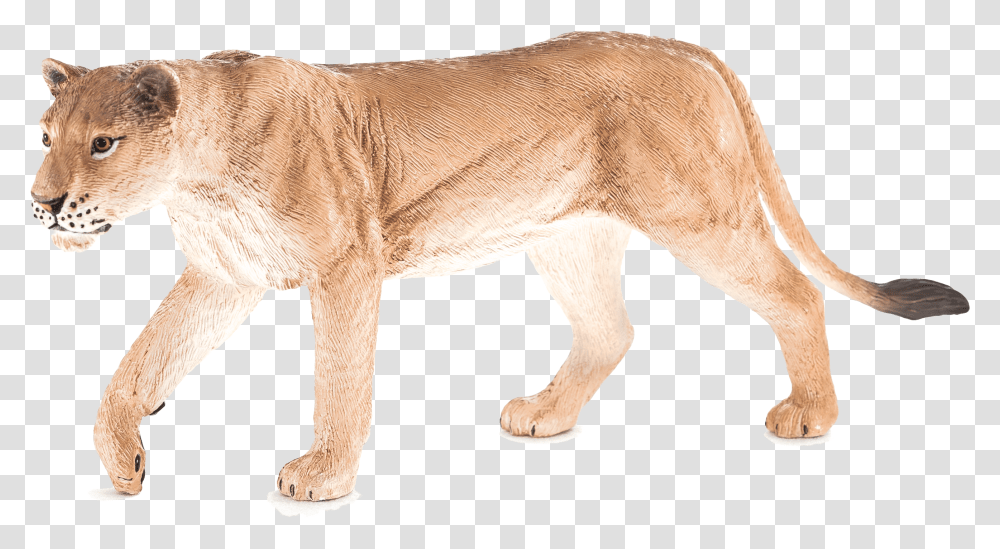 Mojo Lion Cub Toy, Mammal, Animal, Cow, Cattle Transparent Png