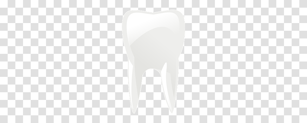 Molar Clothing, Chair, Paper, Shirt Transparent Png