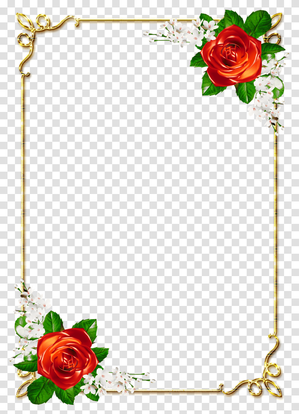 Moldura Dourada Arabescos, Plant, Flower, Blossom, Flower Arrangement Transparent Png