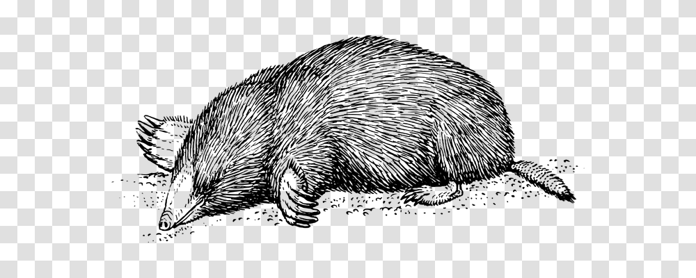 Mole Technology, Gray, World Of Warcraft Transparent Png